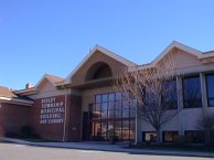 the library in spring